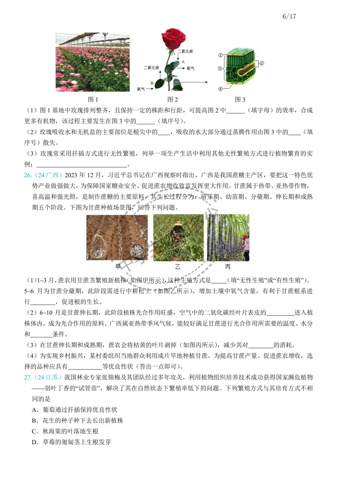 中考生物备考:生物的生殖思维导图+必刷真题 第7张