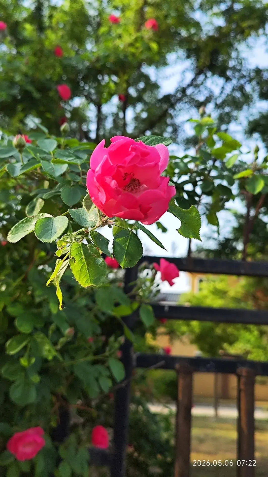 中考倒计时第45天 第1张
