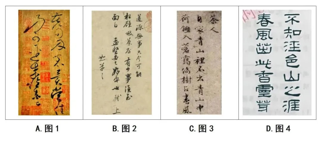 【中考阅读指导】茶韵浸润岁月(综合性学习)甘肃武威2025 第4张