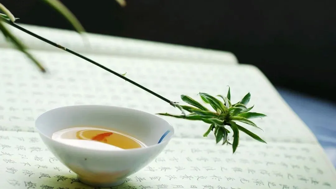 【中考阅读指导】茶韵浸润岁月(综合性学习)甘肃武威2025 第8张