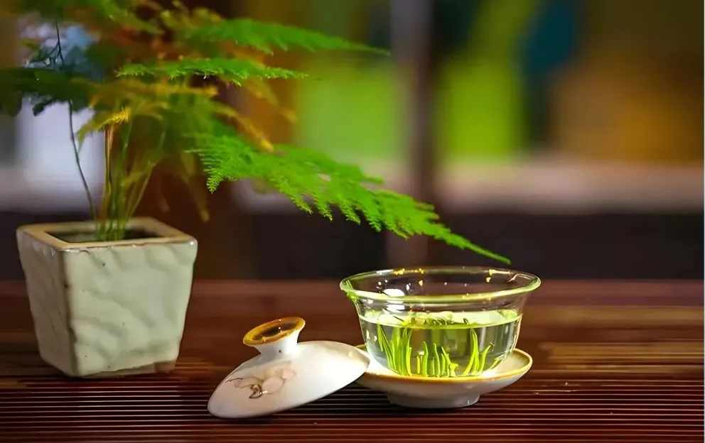 【中考阅读指导】茶韵浸润岁月(综合性学习)甘肃武威2025 第9张