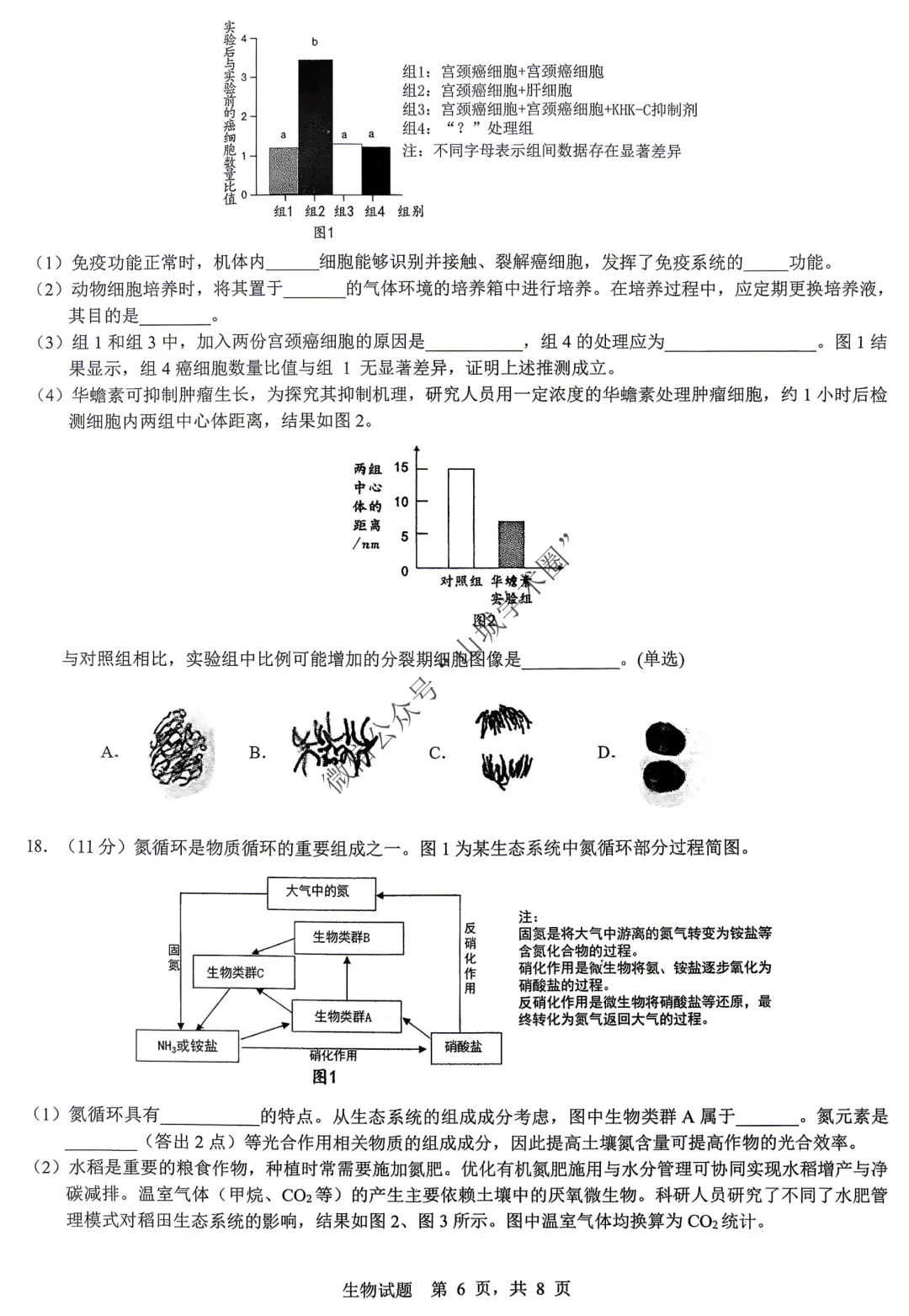 重庆育才中学高2026届高考模拟考试(一)生物试题+答案 第6张