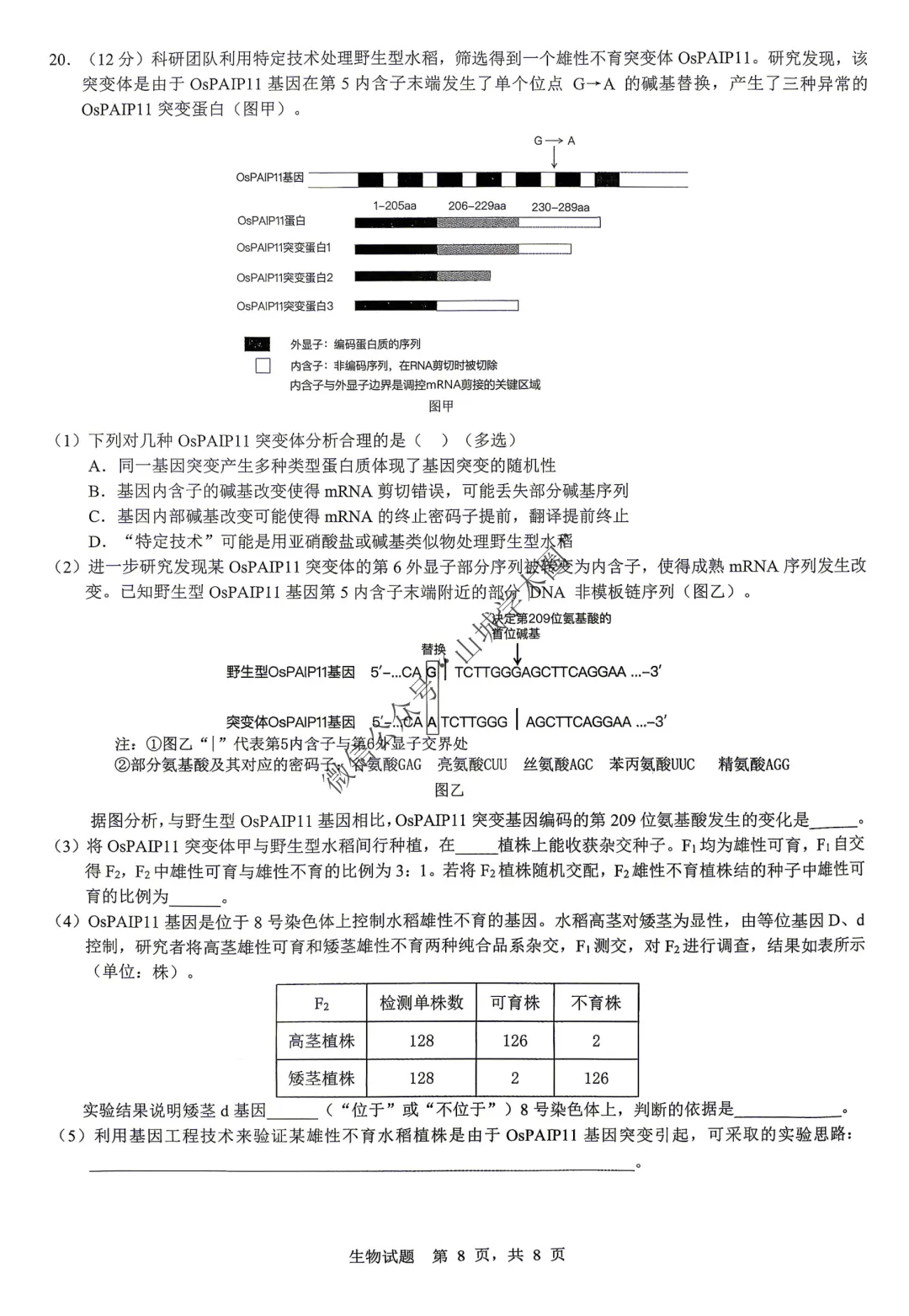 重庆育才中学高2026届高考模拟考试(一)生物试题+答案 第8张