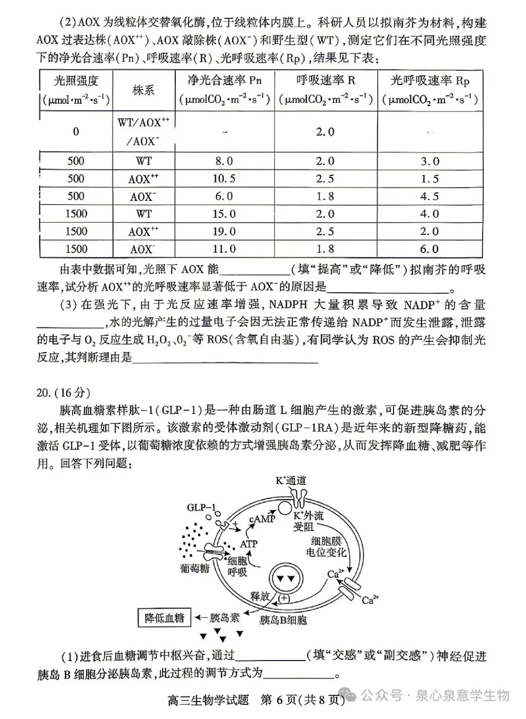 湖北2026届高三4月调研模拟考试生物学试题及参考答案 第6张