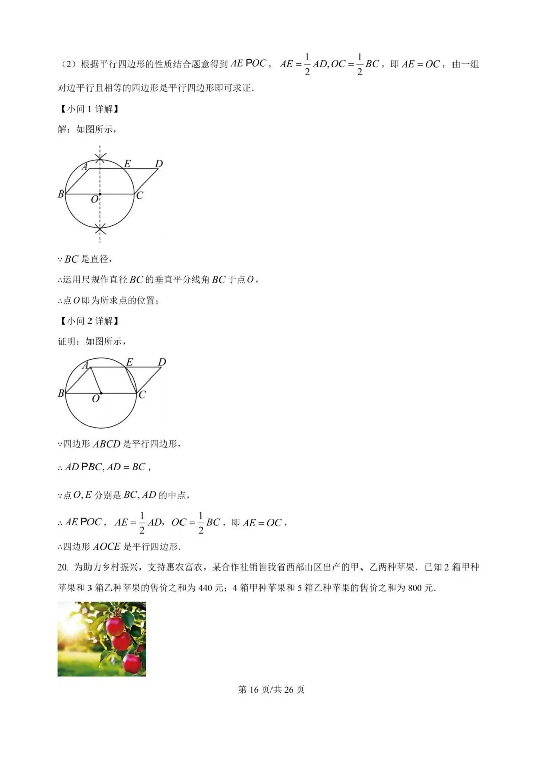 中考数学,河南中考数学真题,2008年-2025年,还有详细解析版 第12张
