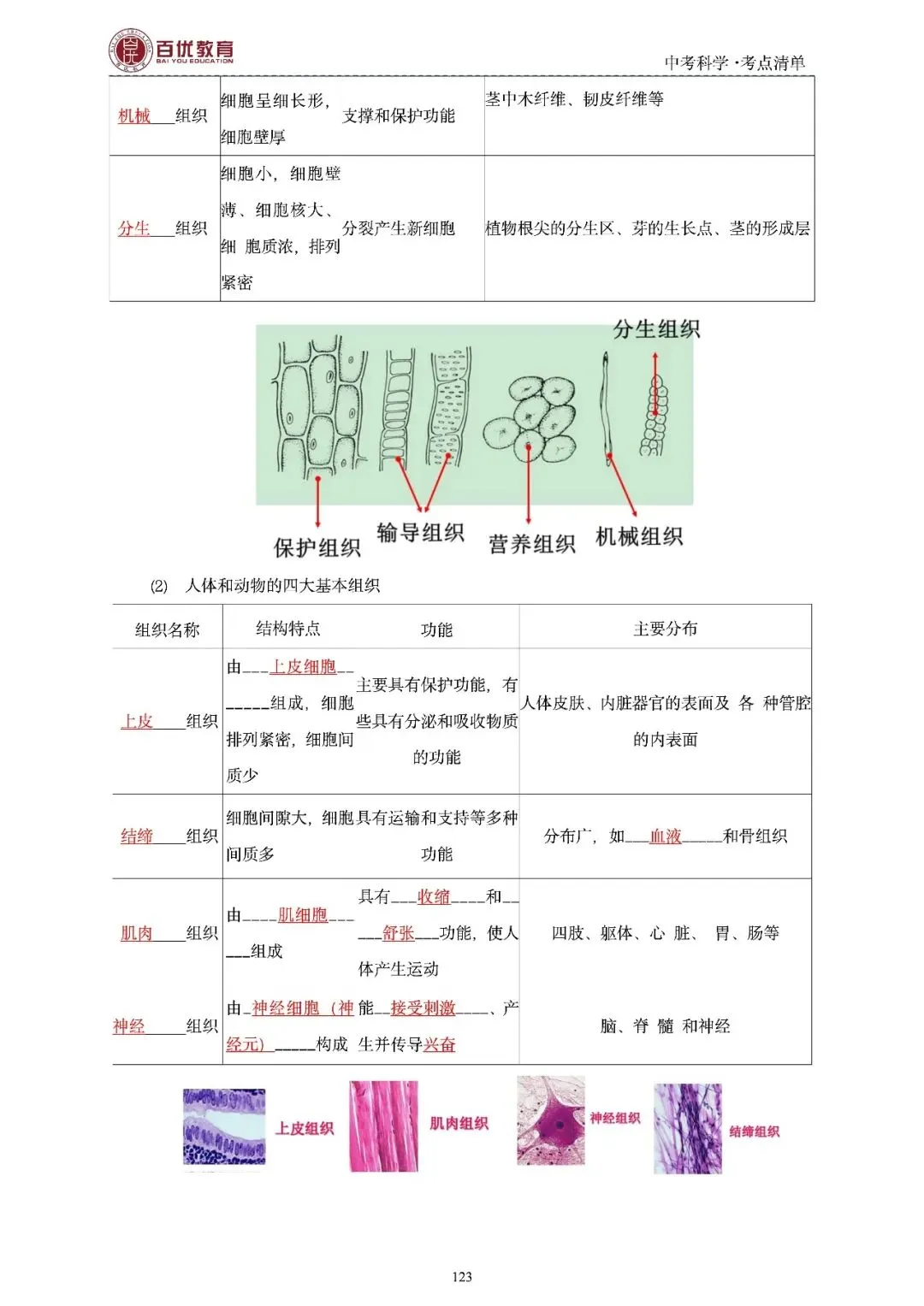 2026年浙江省中考科学【物·化·生·地】「考点清单」189页,全覆盖,超详细,复习必备!速收藏! 第125张