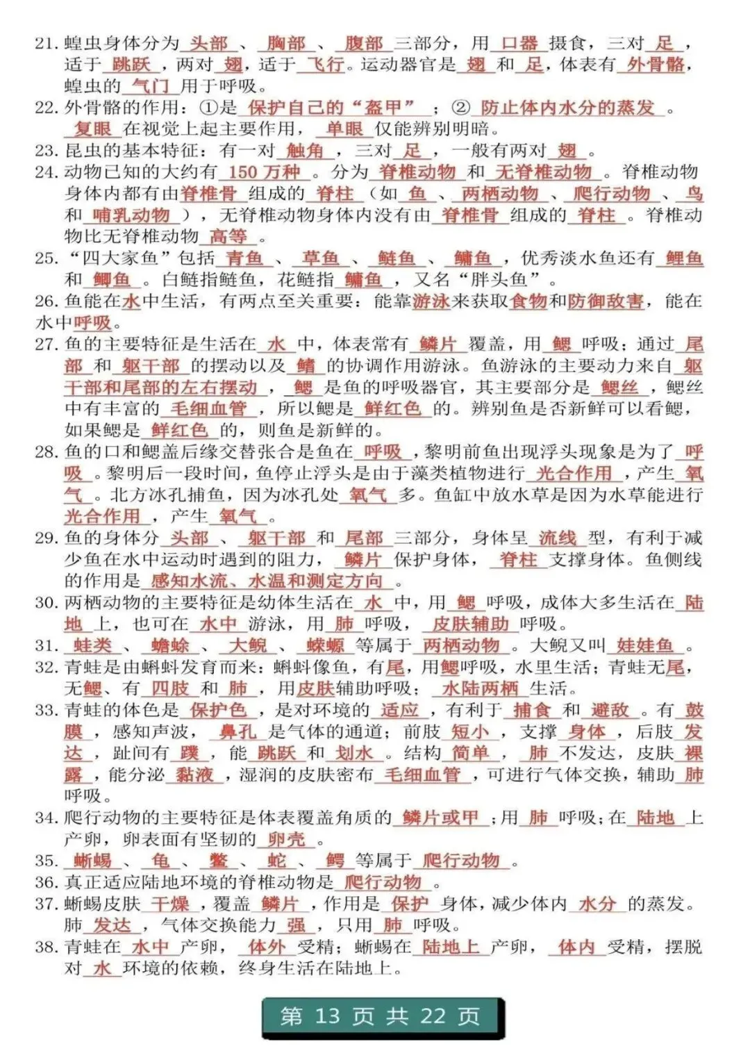 中考生物复习 | 初中生物(1-4册)重点知识答题模板 第13张