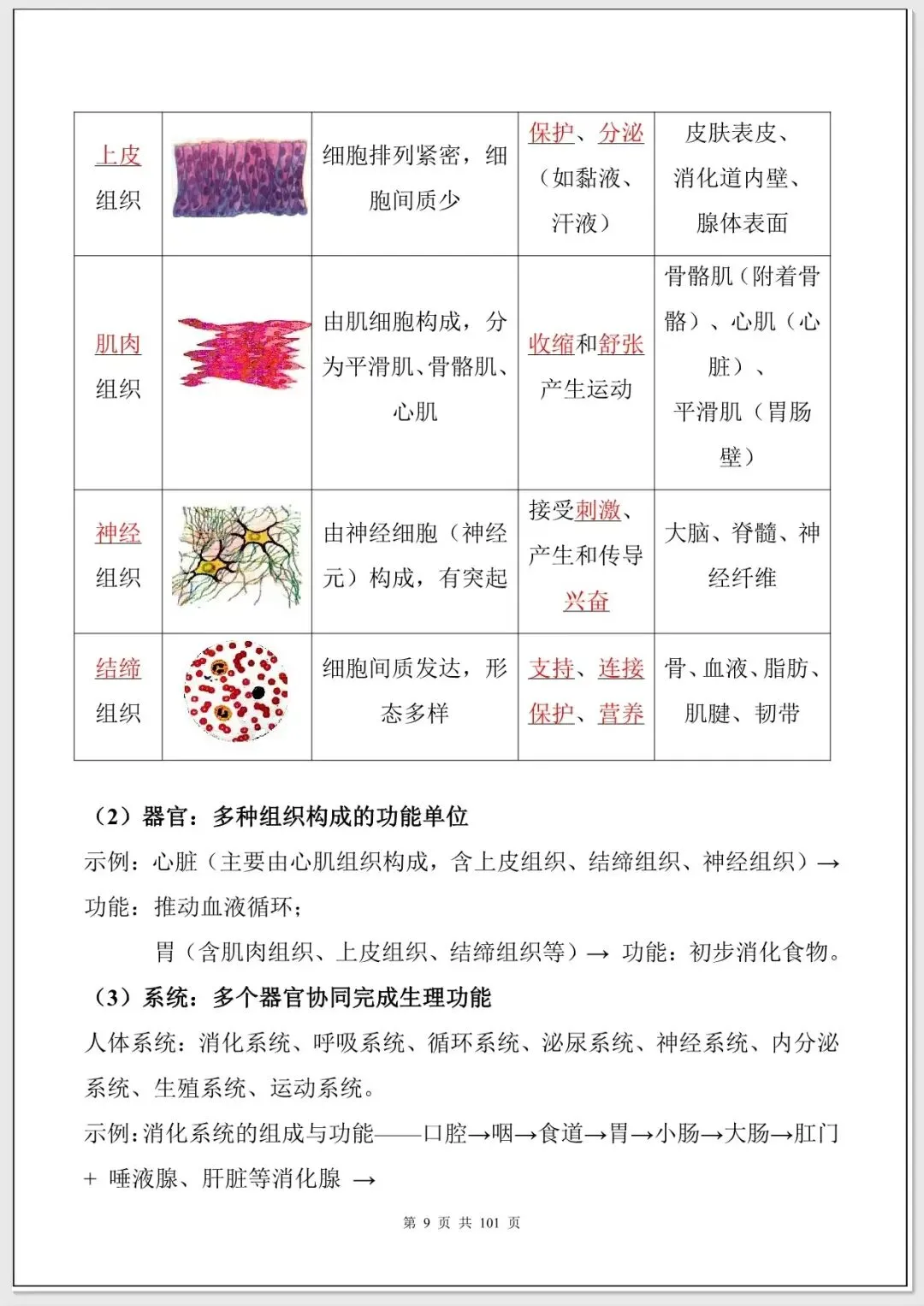 【中考生物考点】中考生物必背考点汇总(108大考点可打印下载) 第8张