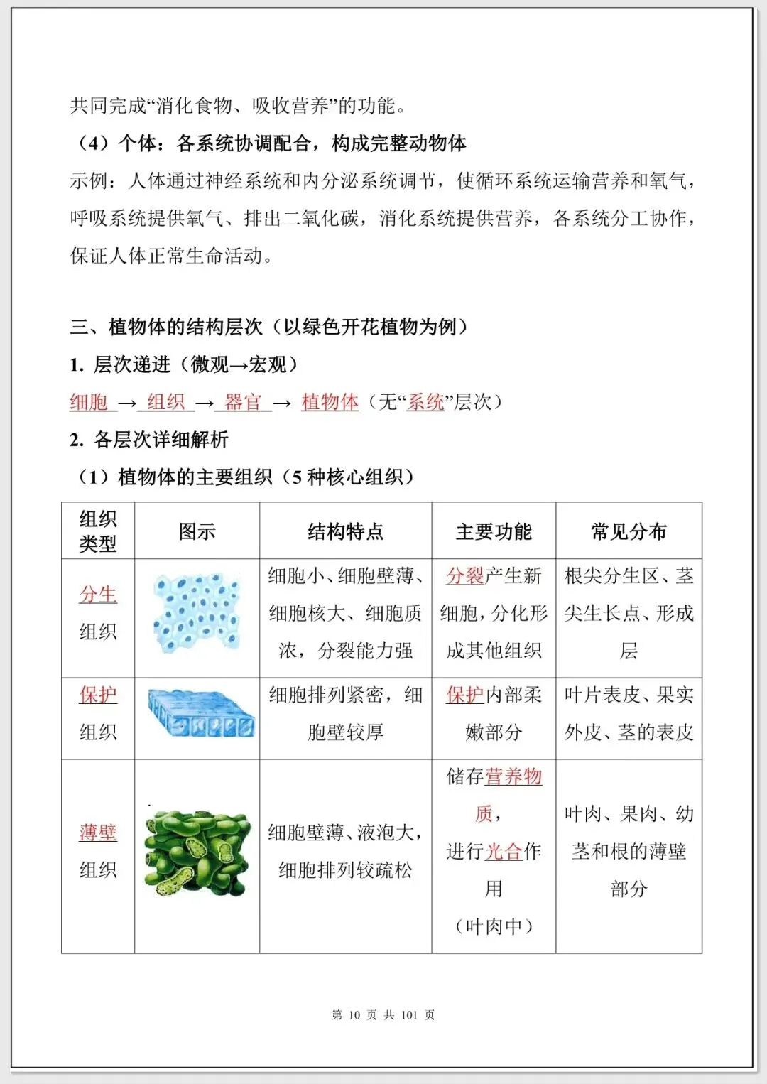 【中考生物考点】中考生物必背考点汇总(108大考点可打印下载) 第9张