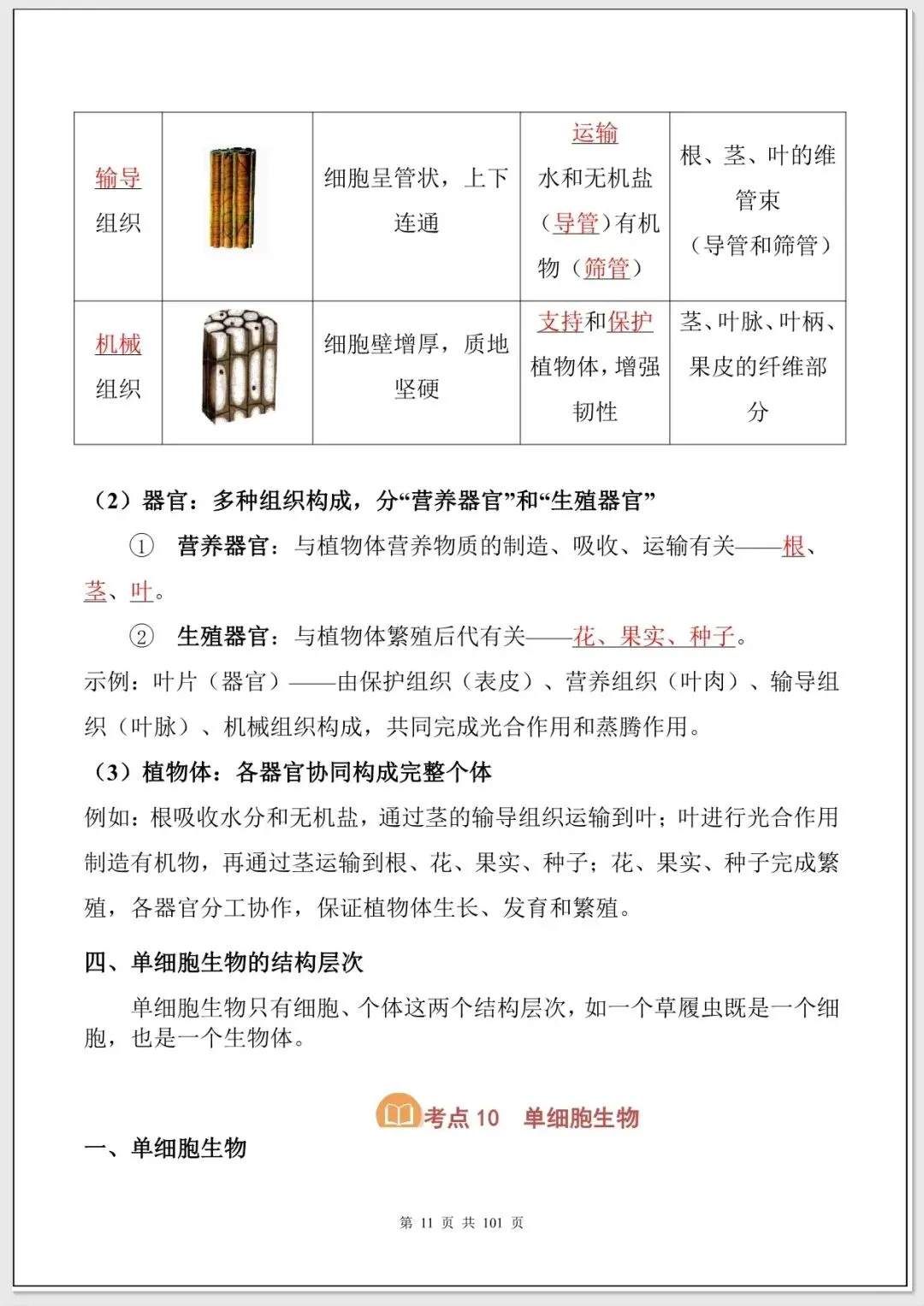 【中考生物考点】中考生物必背考点汇总(108大考点可打印下载) 第10张
