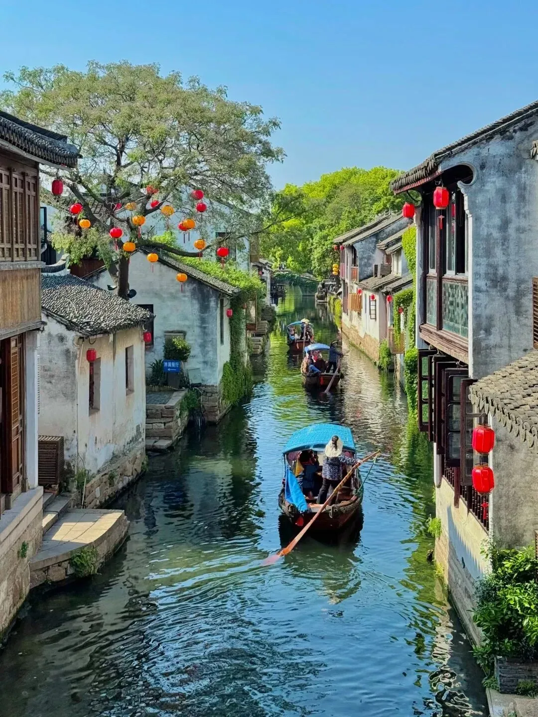 中考后 · 苏州站 6.18-23 ▏初中教学增效与综合育人研讨会邀请函 第8张
