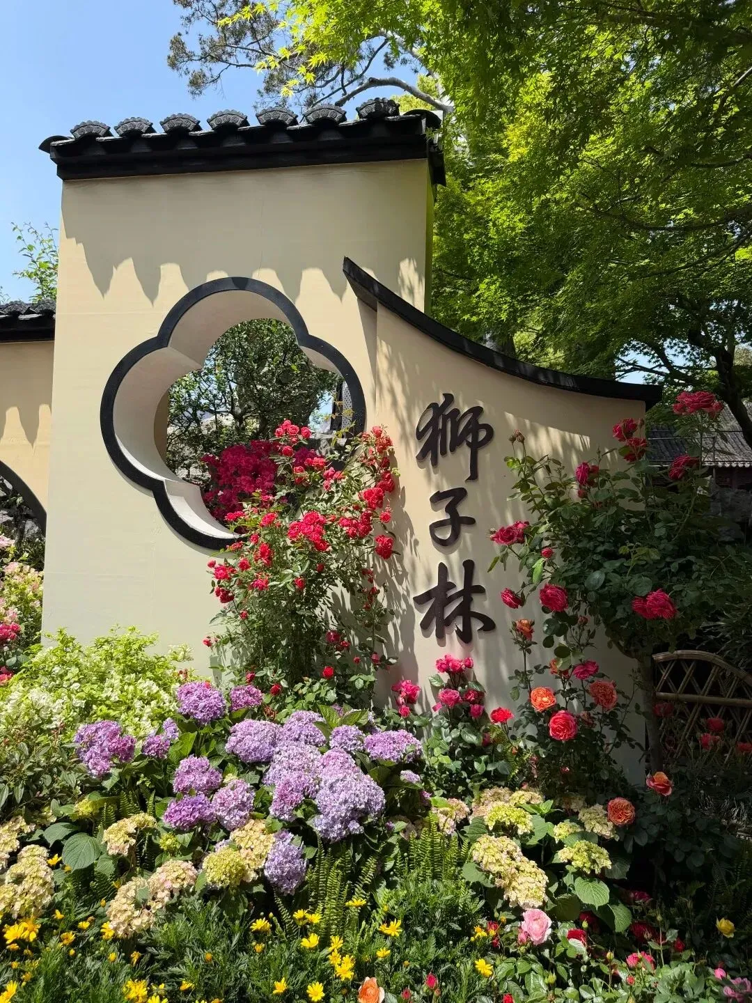 中考后 · 苏州站 6.18-23 ▏初中教学增效与综合育人研讨会邀请函 第10张