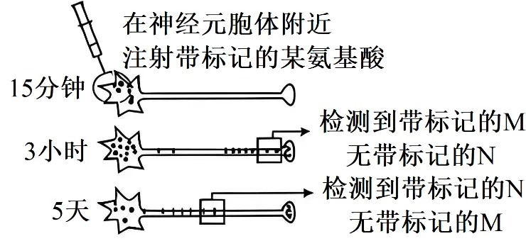 【高考真题】2025年湖南卷生物试题 第1张