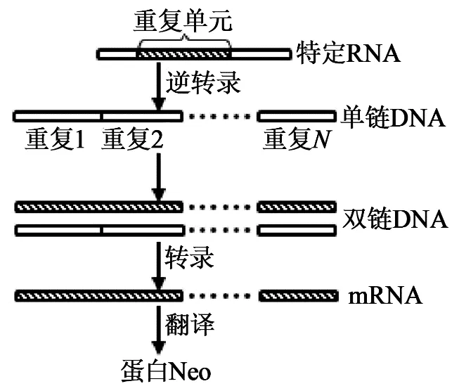 【高考真题】2025年湖南卷生物试题 第2张