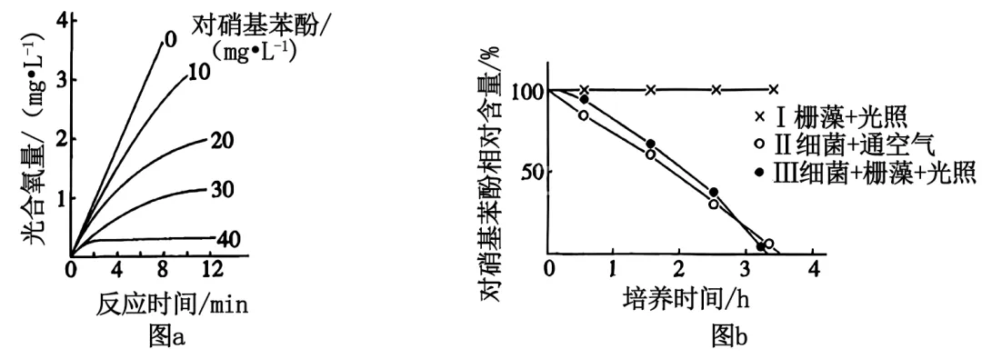 【高考真题】2025年湖南卷生物试题 第4张