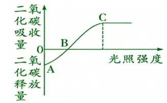 中考生物常考曲线图汇总解读 第4张
