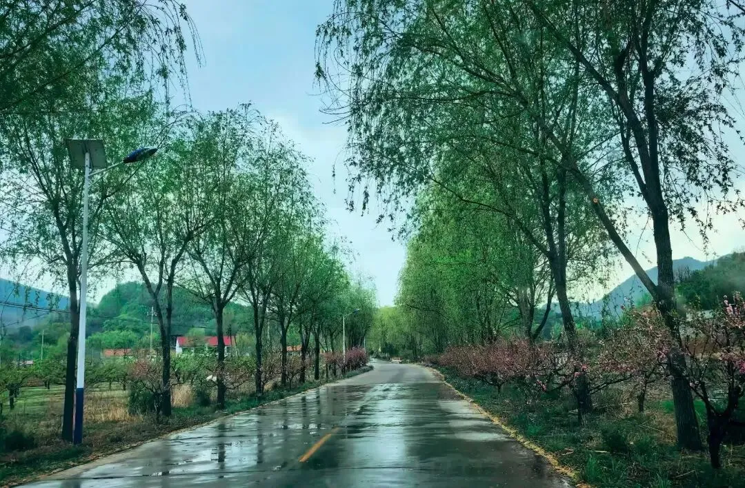 剖析模拟试卷,助力二六中考(终) 第5张
