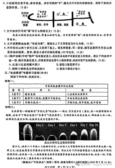 浙江省中考真题||2025年中考试卷【全科】试卷真题及答案解析合集(含历年,PDF版可下载打印) 第9张