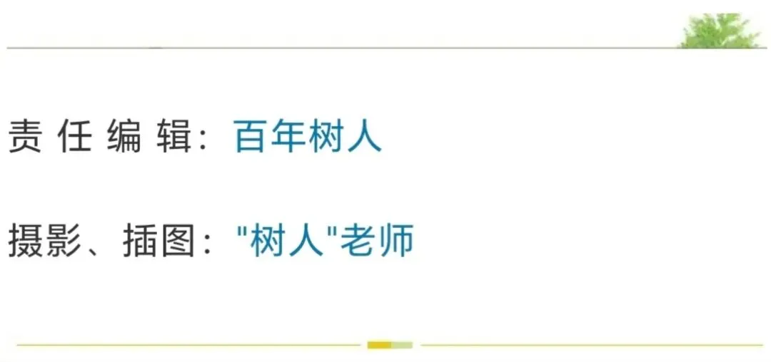 高中生物必修一章末检测试卷 第6张