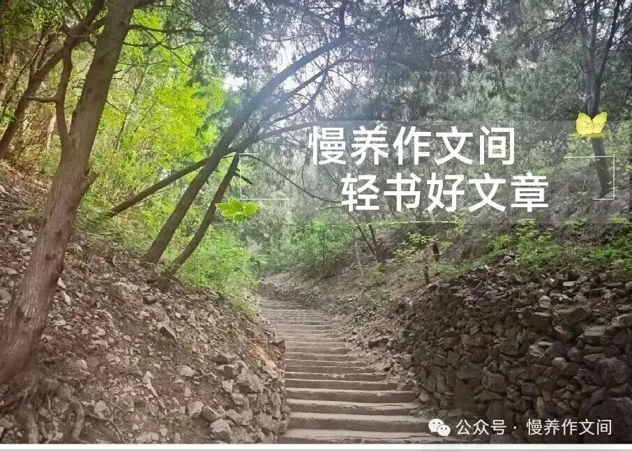 中考作文提分秘诀:结尾别再“我明白了”!3层升华法,直接上一类文门槛 第2张