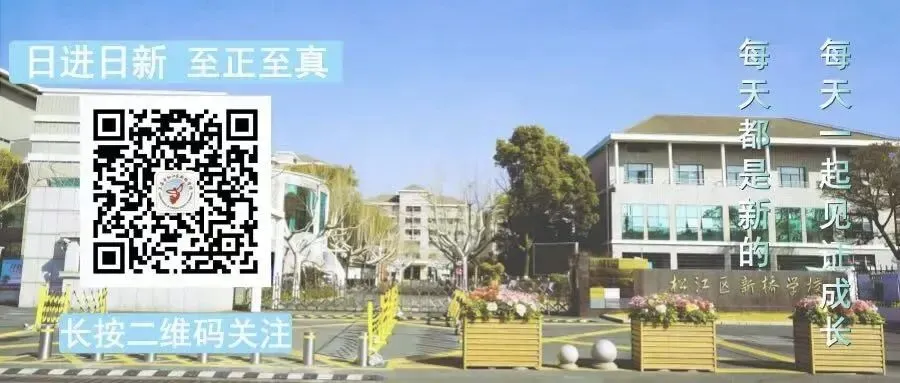 【日新新桥·中考】深耕五月 全力冲刺 圆梦六月|2025学年初三5月学生大会 第25张