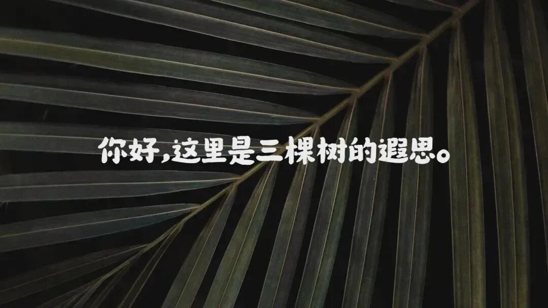 2026年4月24日 汕头二模英语试卷 注释+长难句+客观题语料迁移 第1张
