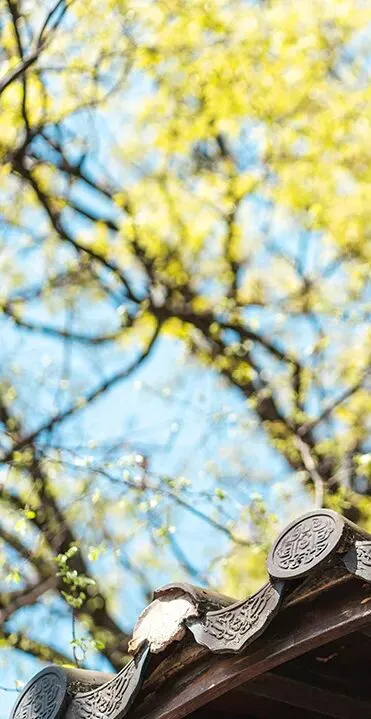 赵伟鹏丨2026濮阳一模语文试卷分析 第7张