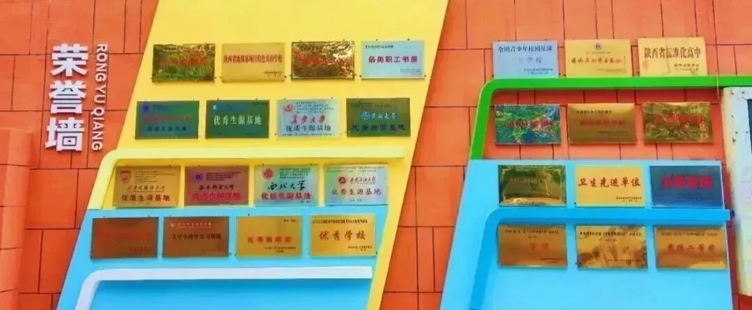 【中考】曲江一中、经开三中、高新陆港、汉都新苑、西大浐灞2026体育艺术特长生招生简章 第13张