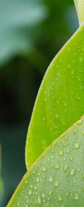 写在距中考50天 第1张