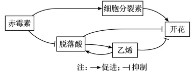 试题精选║山东省潍坊市2026届高考第二次模拟考试生物学 第3张