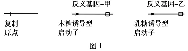试题精选║山东省潍坊市2026届高考第二次模拟考试生物学 第18张