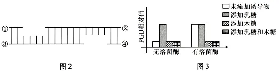 试题精选║山东省潍坊市2026届高考第二次模拟考试生物学 第19张