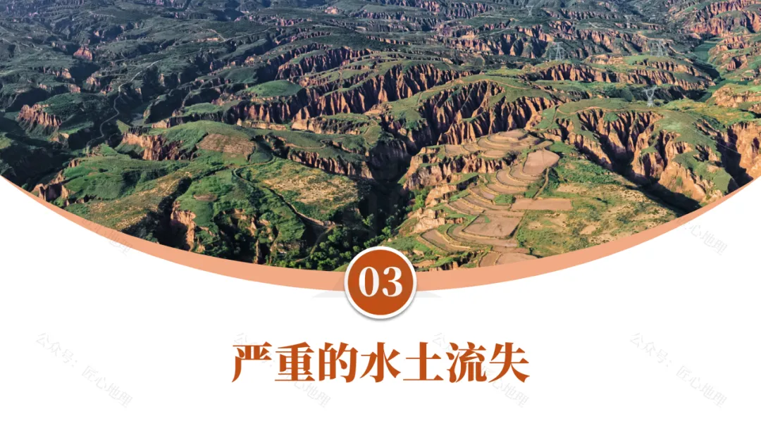 新教材 | 中考一轮复习·世界最大的黄土堆积区——黄土高原(课件+导学单+练习题) 第43张