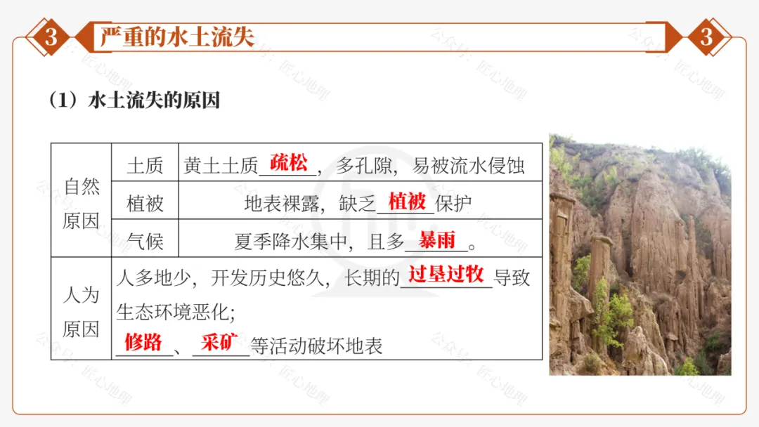 新教材 | 中考一轮复习·世界最大的黄土堆积区——黄土高原(课件+导学单+练习题) 第44张