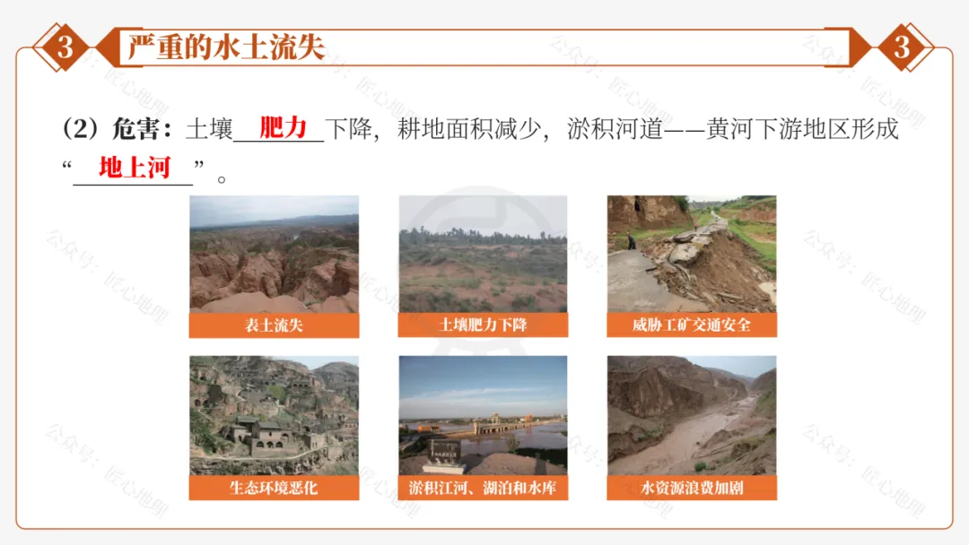 新教材 | 中考一轮复习·世界最大的黄土堆积区——黄土高原(课件+导学单+练习题) 第47张