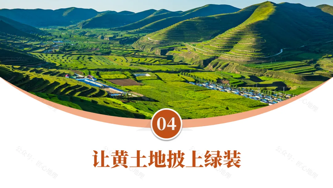 新教材 | 中考一轮复习·世界最大的黄土堆积区——黄土高原(课件+导学单+练习题) 第53张