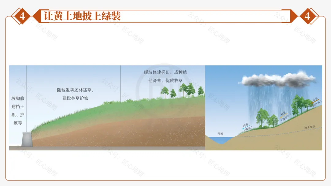 新教材 | 中考一轮复习·世界最大的黄土堆积区——黄土高原(课件+导学单+练习题) 第55张