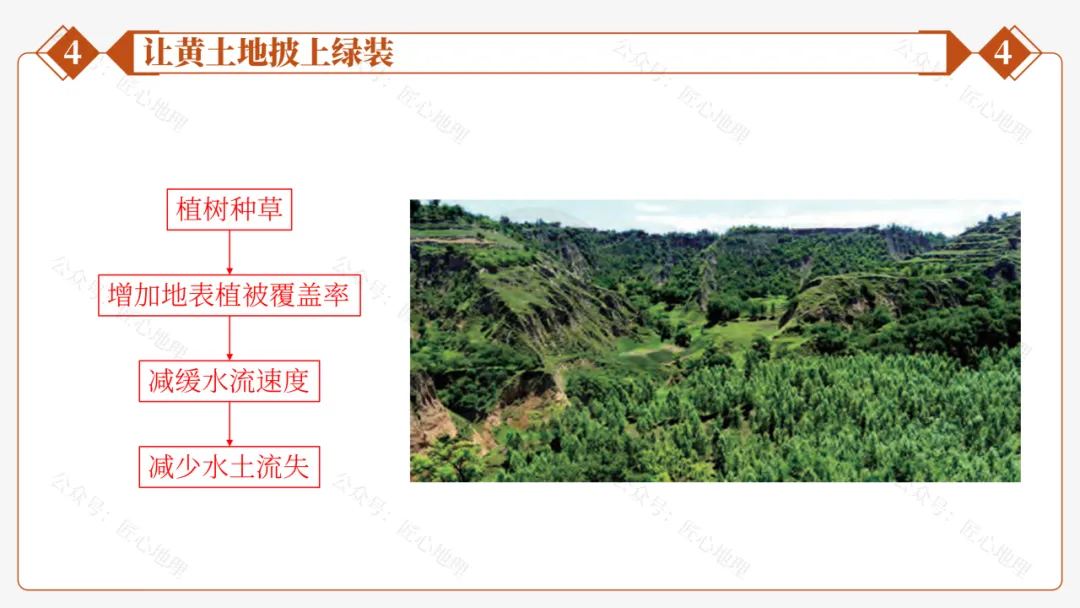 新教材 | 中考一轮复习·世界最大的黄土堆积区——黄土高原(课件+导学单+练习题) 第56张