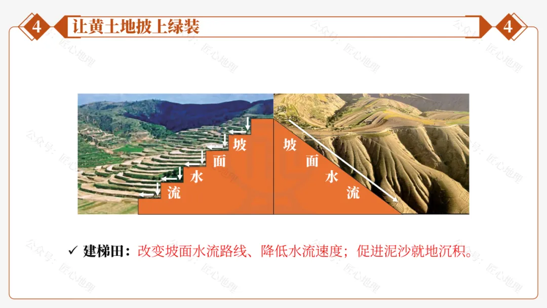 新教材 | 中考一轮复习·世界最大的黄土堆积区——黄土高原(课件+导学单+练习题) 第57张