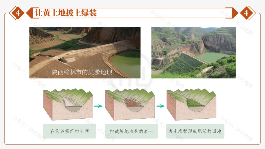 新教材 | 中考一轮复习·世界最大的黄土堆积区——黄土高原(课件+导学单+练习题) 第58张