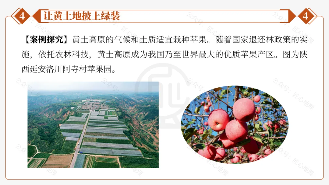 新教材 | 中考一轮复习·世界最大的黄土堆积区——黄土高原(课件+导学单+练习题) 第61张