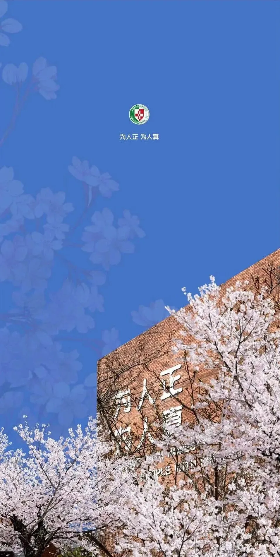 刚刚,苏中园区校中考招生群公布,985率11.1%,221率40% 第1张