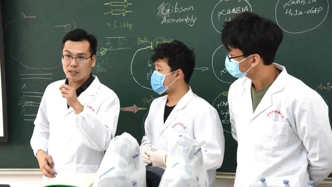 刚刚,苏中园区校中考招生群公布,985率11.1%,221率40% 第5张