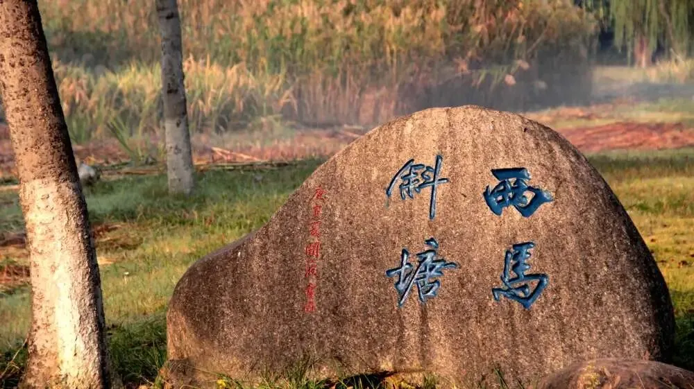 刚刚,苏中园区校中考招生群公布,985率11.1%,221率40% 第10张