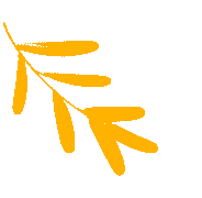 模考砺剑,逐梦芳华——临沂鲁州高级中学2026届高三二模考试正式启幕 第1张