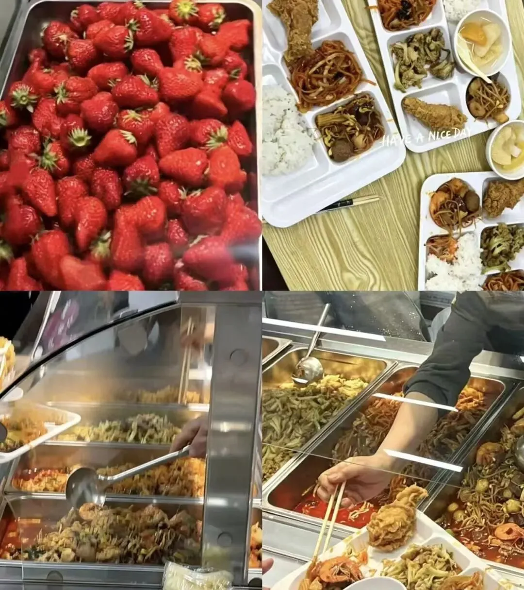 美术中考集训落幕——执笔为剑 | 奔赴理想 第5张