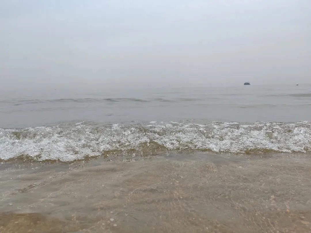 试卷里的海,终于漫过了她的脚面 第2张