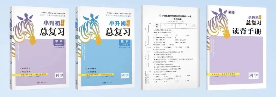 中考倒计时!避开这4个备考误区,高效复习才是硬道理 第22张