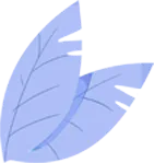 【教辅资料】高级导考历年真题 第2张