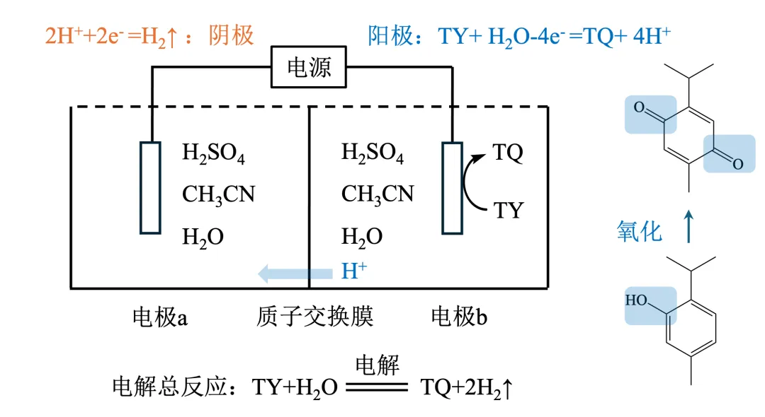 电化学真题梳理 | 西北卷:百里酚/香芹酚→百里醌的反应历程 第4张